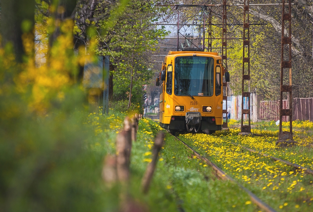 IMG_0904__140328_KOB__V28