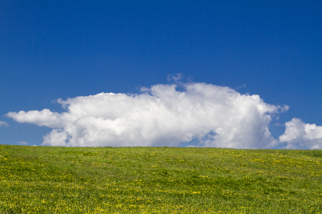 IMG_2266__130518_Ajnad___k