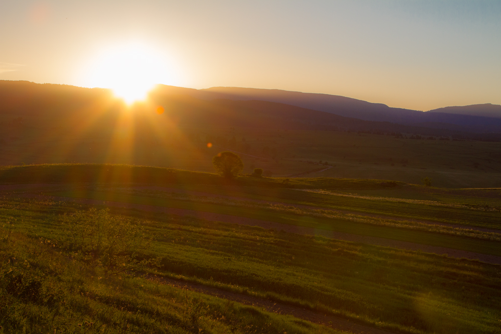 IMG_2387__130519_Csikrakos____k