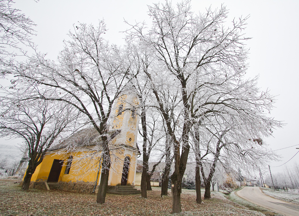 IMG_9808__130102_Palatinca__k